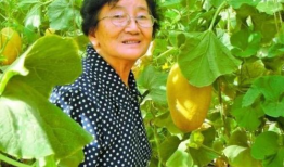 崔坤吃瓜,揭秘娱乐圈背后的那些事儿