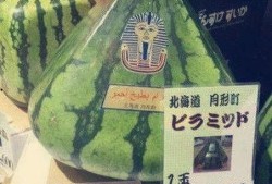 最强吃瓜群众图片