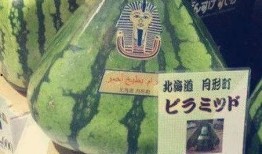 最强吃瓜群众图片