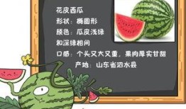 现代吃瓜系统小说推荐,跟随现代吃瓜系统，解锁小说世界新篇章