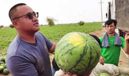 吃瓜网友特效图片,趣味横生，笑料百出