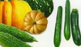 现在吃瓜要去哪个平台,2023年度热门吃瓜平台大盘点，哪个才是你的最佳选择？