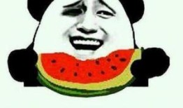 擦汗吃瓜群众,揭秘吃瓜群众的独特生活态度