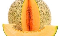 豆豆吃哈密瓜,豆豆的哈密瓜美食之旅