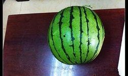 吃瓜09年,揭秘当年娱乐圈那些事儿