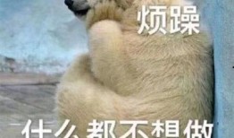 幸福吃瓜群众图片高清,幸福吃瓜群众图鉴