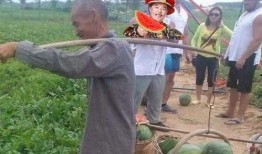 路边吃瓜姑娘图片,捕捉夏日街头一幕